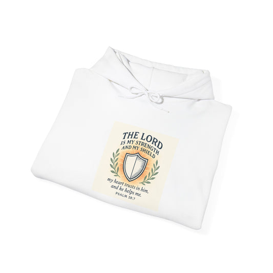 Faith-Inspired Hooded Sweatshirt - Cozy Christian Apparel, Religious Gift, Motivational Style, Daily Wear, Bible Verse Fashion